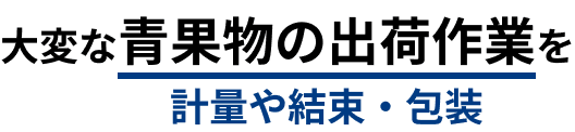 大変な青果物の出荷作業を